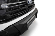 Photo - Close Up